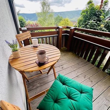 公寓 Panoramablick Mit Privatparkplatz, 2 Balkone Und 1,5 Baeder 蒂蒂湖-新城